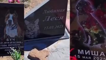Balqashta it pen mysyqtardyń ziraty eldiń záresin aldy