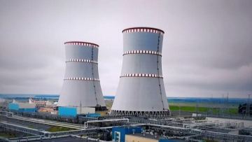 Қазақстанда салынатын АЭС-тің алдын ала құны белгілі болды