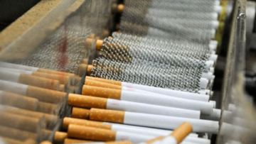 Жамбыл облысында 180 млн теңгеден асатын контрабандалық темекі тәркіленді