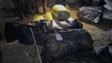 47 жастағы күдікті ұсталды: полиция 30 млн теңгенің есірткісін тәркіледі