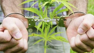 Ақтөбеде зейнеткердің саяжайынан 67 түп көкнәр табылды