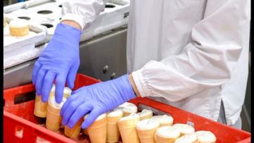 Қазақстанда 35,1 мың тонна балмұздақ өндірілді