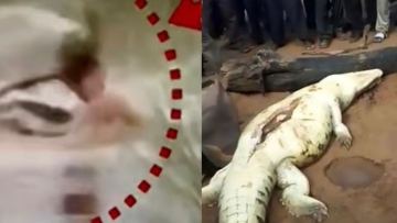 Қолтырауын 12 жастағы баланы туыстарының көз алдында жеп қойды (ВИДЕО)