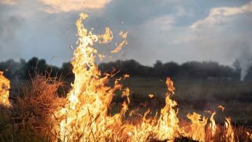 Qazaqstanda úsh birdei orman órti sóndirilip jatyr