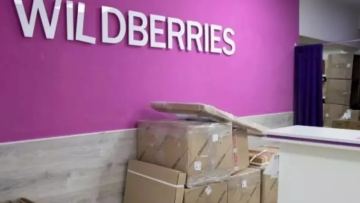 Wildberries жобасына ерекше жеңілдік болмайды – министрлік