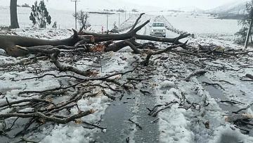 Ońtústik Afrikany qar basyp qaldy. Aýa temperatýrasy -4 gradýsqa deiin tómendedi