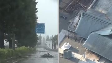 Qytaidy dúrliktirgen «Delfin» taifýny: 1300 reis toqtady