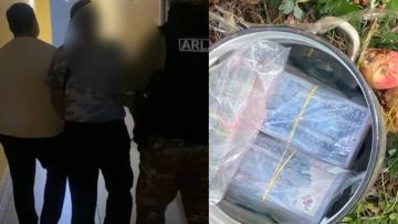 25 млн теңгені алма түбіне жасырған: Павлодарда кәсіпорын күзетшісі ұсталды