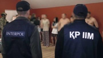 «Ońai ári joǵary tabys» ýáde etken: Qazaqstanda halyqaralyq esirtki jelisi áshkerelendi