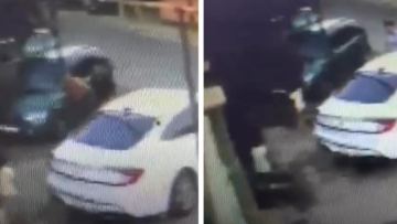 شىمكەنتتە ەر ادام كٶرشٸسٸن ٶلتٸرٸپ قاشىپ كەتتٸ