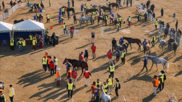 Allur Endurance CUP 2026 halyqaralyq týrnirinde qazaqstandyq shabandozdar tuǵyrdyń barlyq satysyn ielendi
