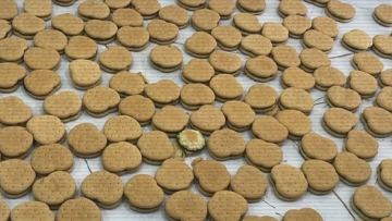 Esirtki qosylǵan 238 pechene: Astanada bes kúdikti ustaldy