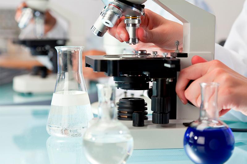 БҒМ жоғары оқу орындарының академиялық дербестігін одан әрі кеңейтеді