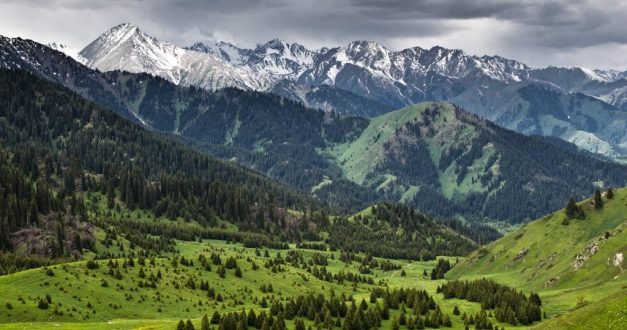 Жер мәселесіне жітірек көз жіберу керек