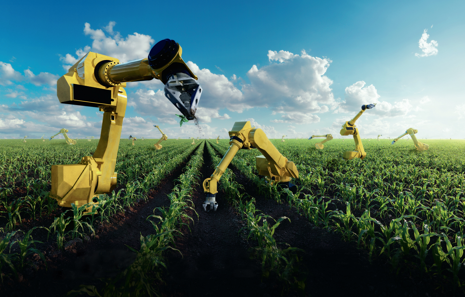 Ии в сельском хозяйстве. Роботы в сельском хозяйстве. Инновации в сельском хозяйстве. Роботизация сельского хозяйства. Сельское хозяйство будущего.