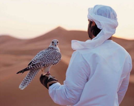 Qazaqstanda arab sheihtary Qyzyl kitapqa engen qustardy qyryp tastaǵan