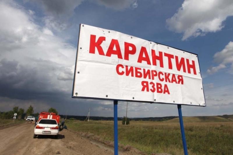 Qazaqstanda sibir jarasynyń taralýyna sapasyz ekpe sebep boldy 