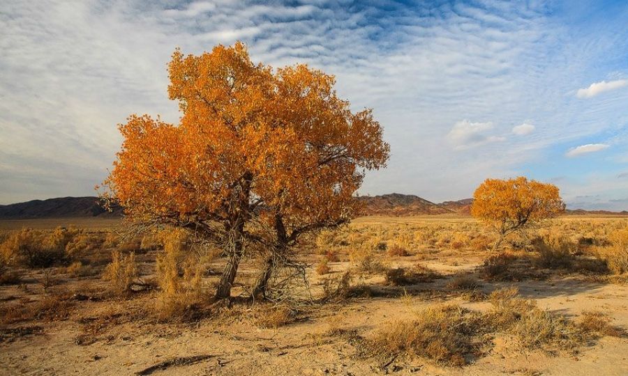 «Туған жер» бағдарламасы – отансүйгіштіке тәрбиелеудің тиімді құралы