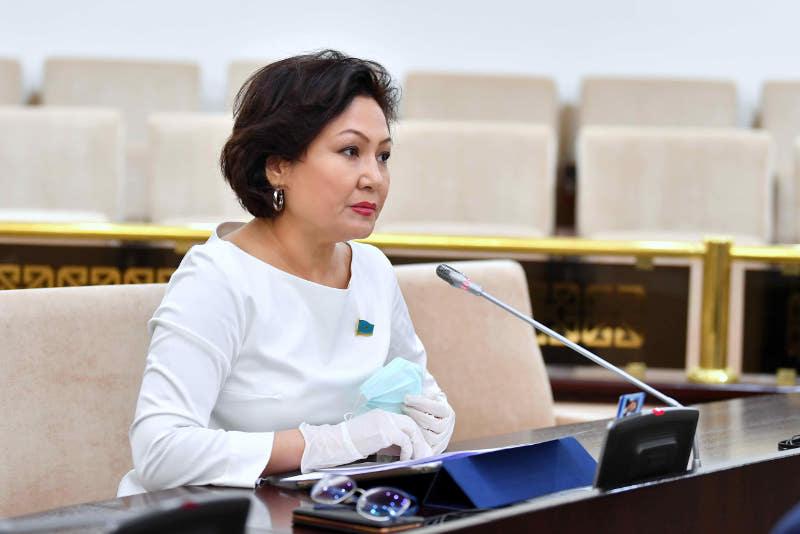 Qazirgidei kúrdeli kezeńde Konstitýtsiianyń róli odan ári arta tústi-senator