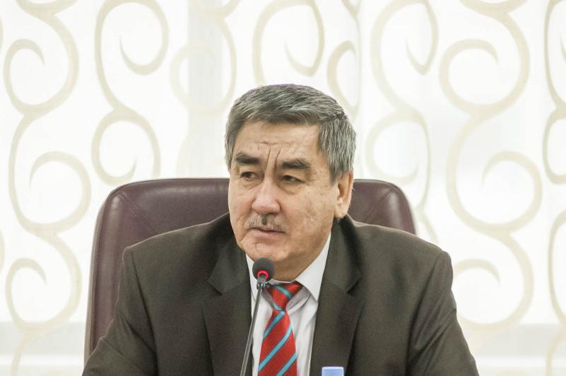 Búrkitbai Aiaǵan: Qazaqstandaǵy prezidenttik institýt óziniń tiimdiligin kórsetti
