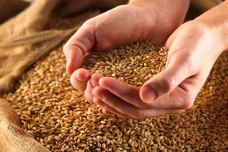 سولتٷستٸك قازاقستاندا بيىل 5,6 ملن. توننا استىق باستىرىلدى