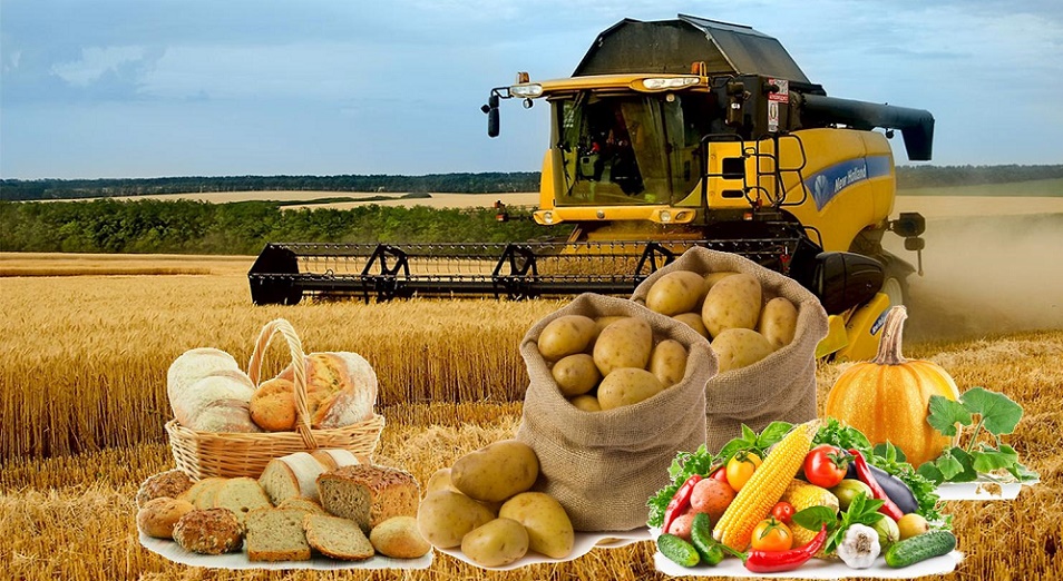 Басы бірікпеген жеке шаруашылықтар шын мәнінде өлместің күнін көріп отыр – Мемлекет басшысы