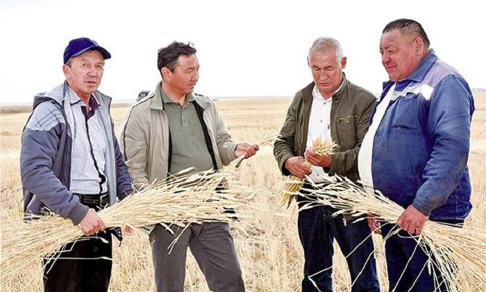 شۋاق تٶككەن شيرەك عاسىر