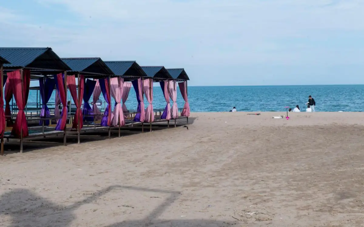 Қонаевта жер қытайларға берілгені туралы ақпарат шындыққа жанаспайды – әкімдік