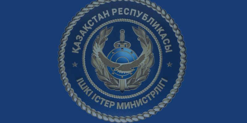 Жаңа Конституция: ІІМ жалған ақпарат таратқан адам жауапқа тартылатынын ескертті