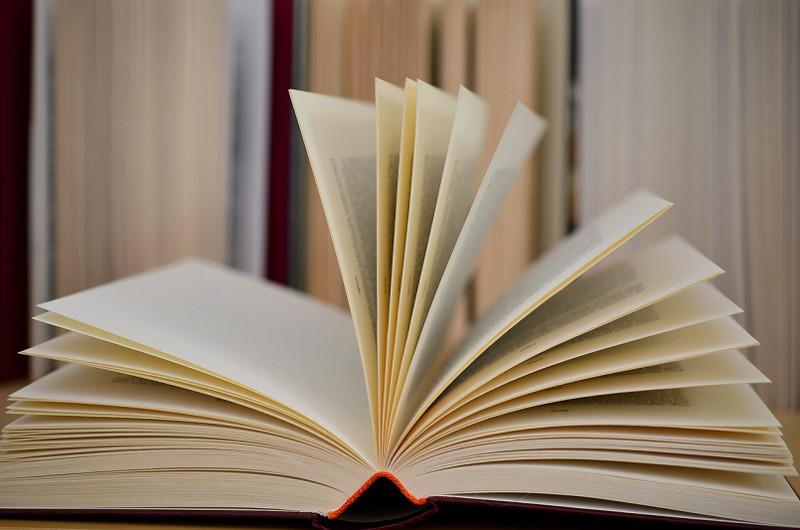 «Bolashaq» baǵdarlamasy aiasynda «Ádebiet» atalymy boiynsha mamandyqtar sany kóbeitilmek