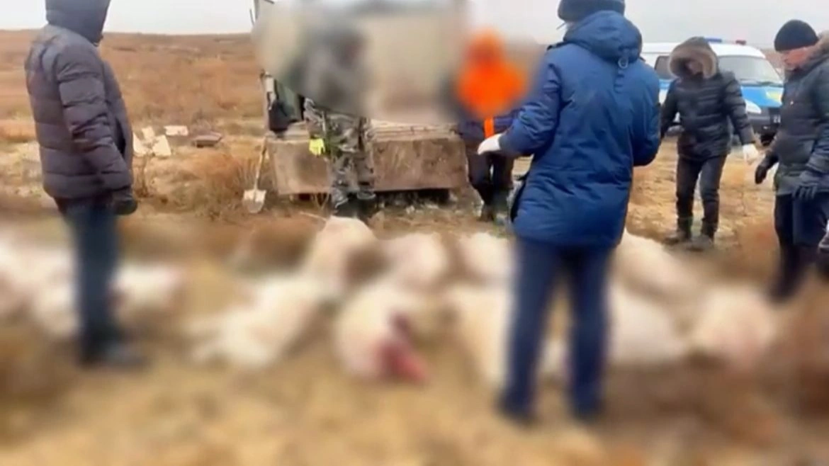 اقتٶبەدە براكونەرلەر 14 كيٸكتٸڭ ۇشاسىن زاڭسىز تاسىمالداۋ كەزٸندە ۇستالدى