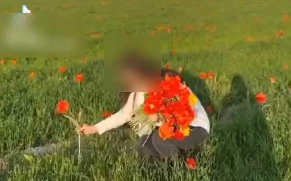 تٷركٸستان وبلىسىنىڭ تۋماسى قازاقستاندا ەڭ قىمبات ستوريز تٷسٸردٸ