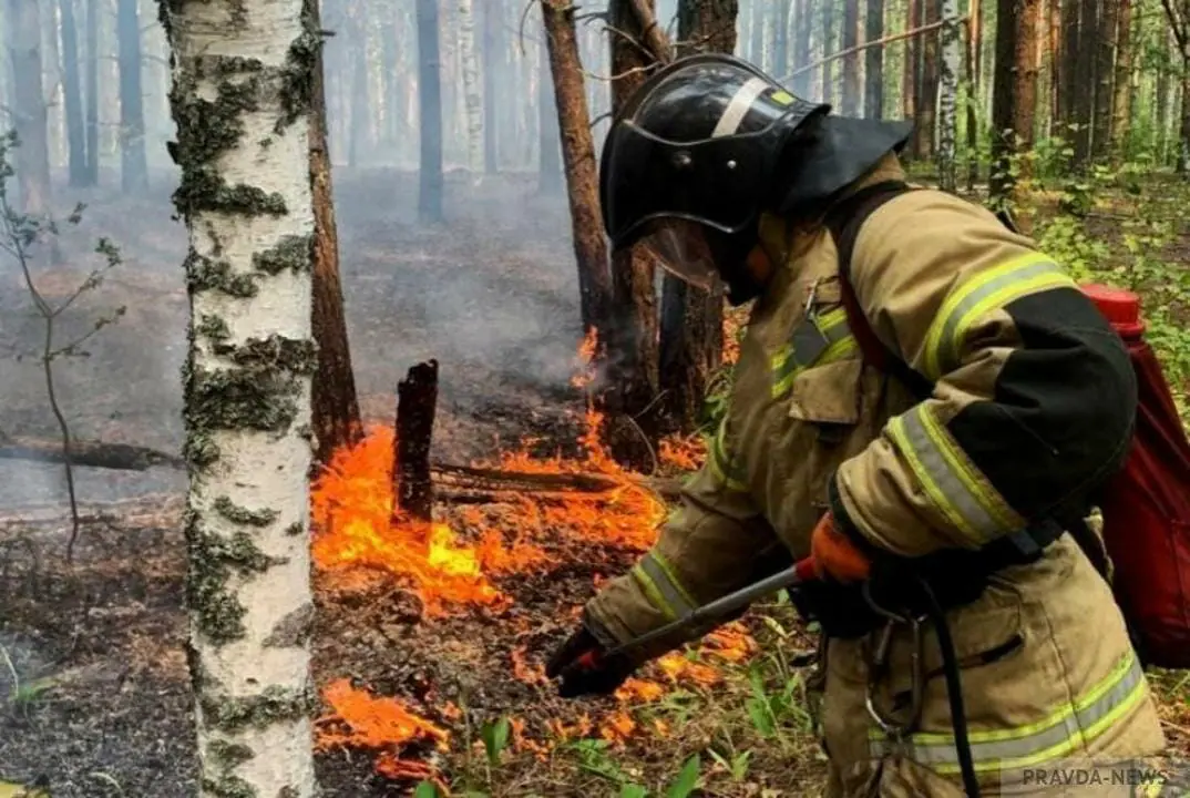 Елімізде 33 орман өрті және 148 дала жануы тіркелді - ТЖМ