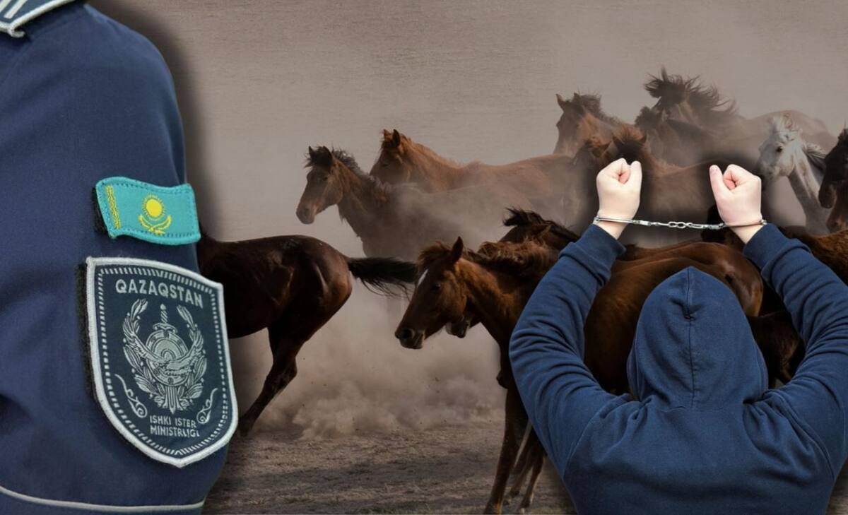 جەتٸسۋ وبلىسىندا 46 ملن تەڭگەنٸڭ مال ۇرلىعى اشىلدى: باقتاشى كٷدٸككە ٸلٸندٸ