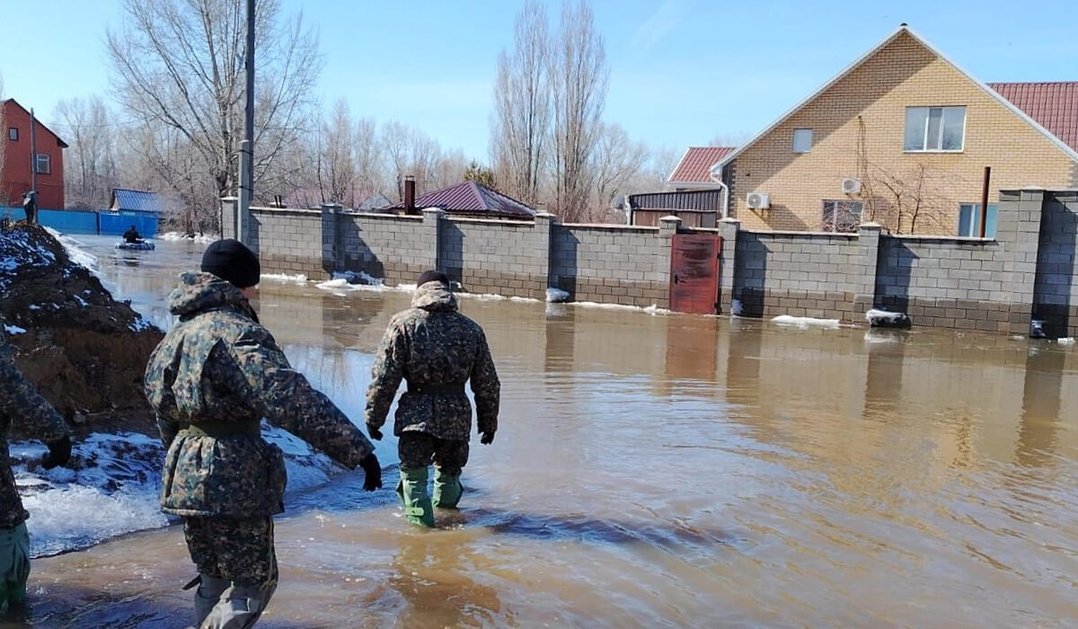 «Үш адам куә ретінде растауы керек»: су тасқынынан қырылған мал үшін өтемақыны қалай алуға болады