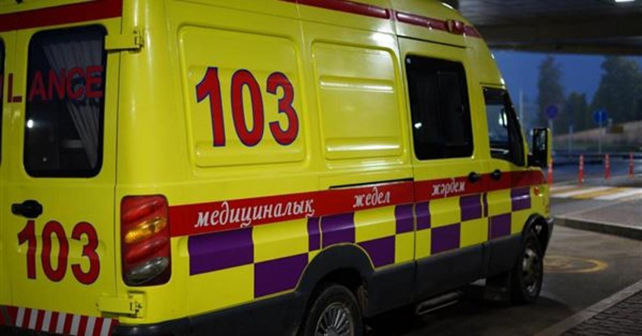 Мысықты құтқарам деп қаза тапты: Павлодарда ер адам ағаштан құлап мерт болды