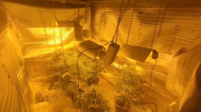Оралда ағайындылар жертөледе есірткі өсірген: 14 млн теңге тәркіленді