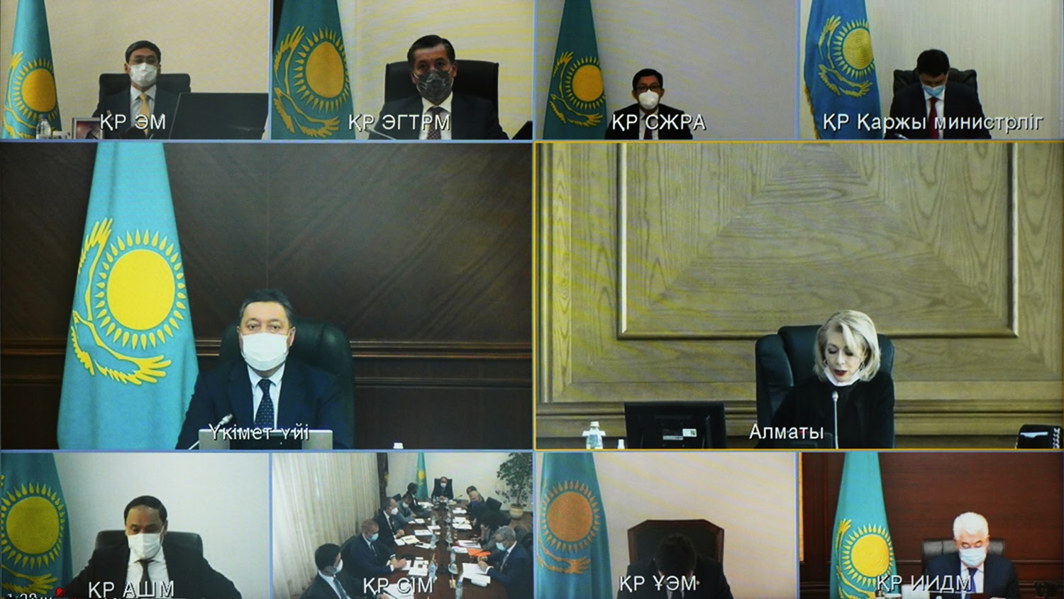 Үкіметте жаңартылатын энергия көздерін дамыту мәселелері қаралды