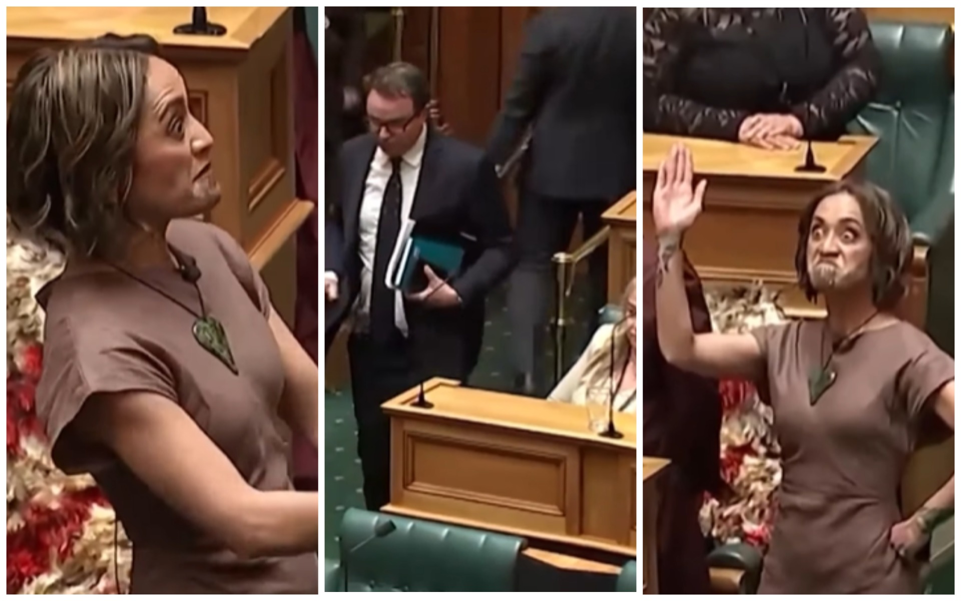 Jańa Zelandiiada parlament jumysy maori bii úshin taǵy toqtatyldy: Bul qandai bi?