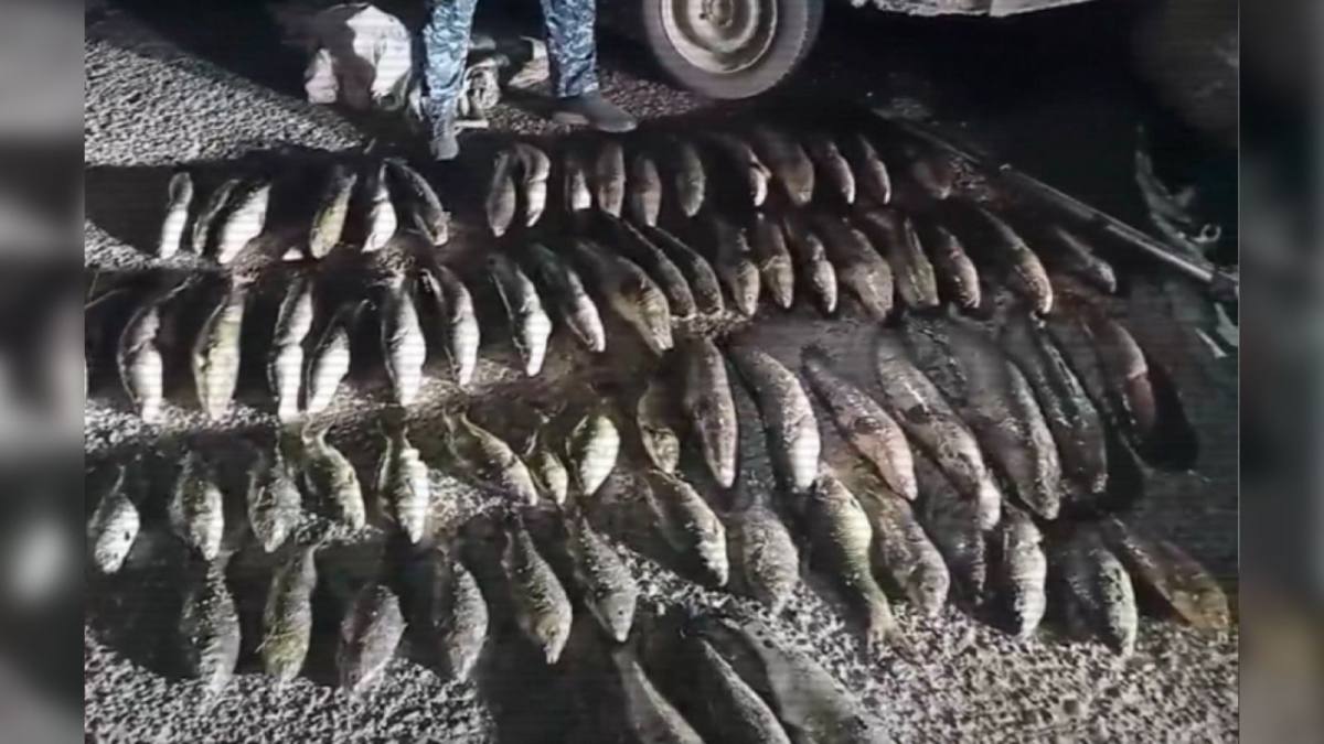 Қазақстанда бір айда 4 мыңнан астам браконьерлік дерегі анықталды