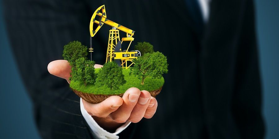 Табиғи байлық шетелге миллиардтаған теңгеге заңсыз әкетілген