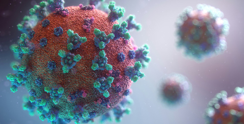 Qazaqstanda Nipah virýsyn juqtyrý jaǵdailary tirkelgen joq