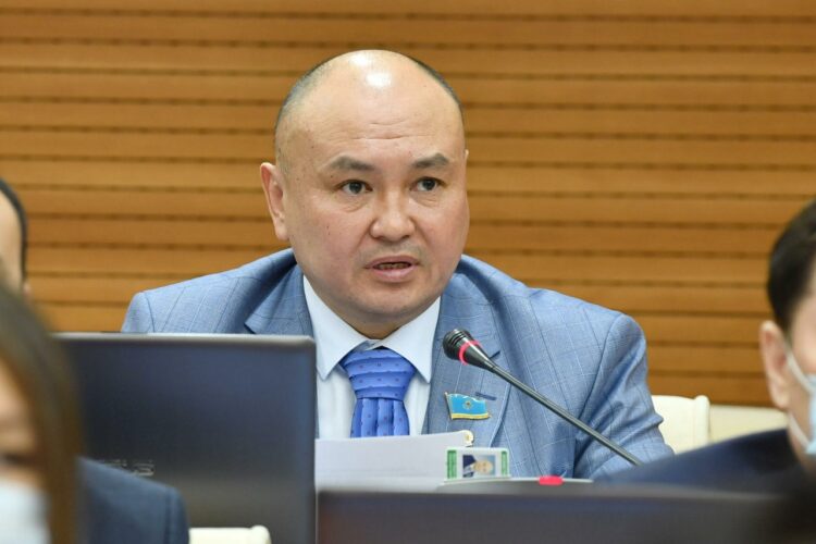 Көпбалалы аналарға тісін жөндеу үшін бір реттік қаржылық төлем беру қажет — Ерлан Саиров