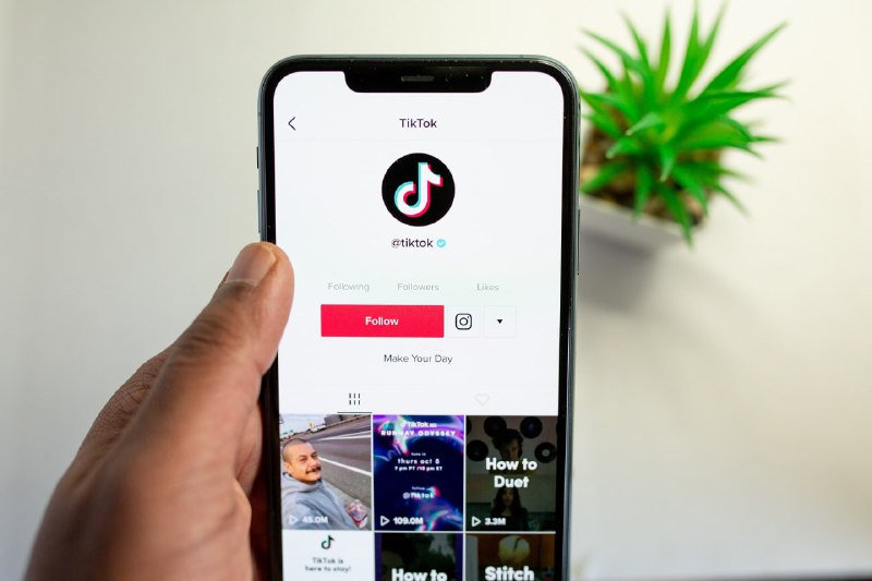 TikTok ەۋرووداق ەلدەرٸندە بۇعاتتالۋى مٷمكٸن