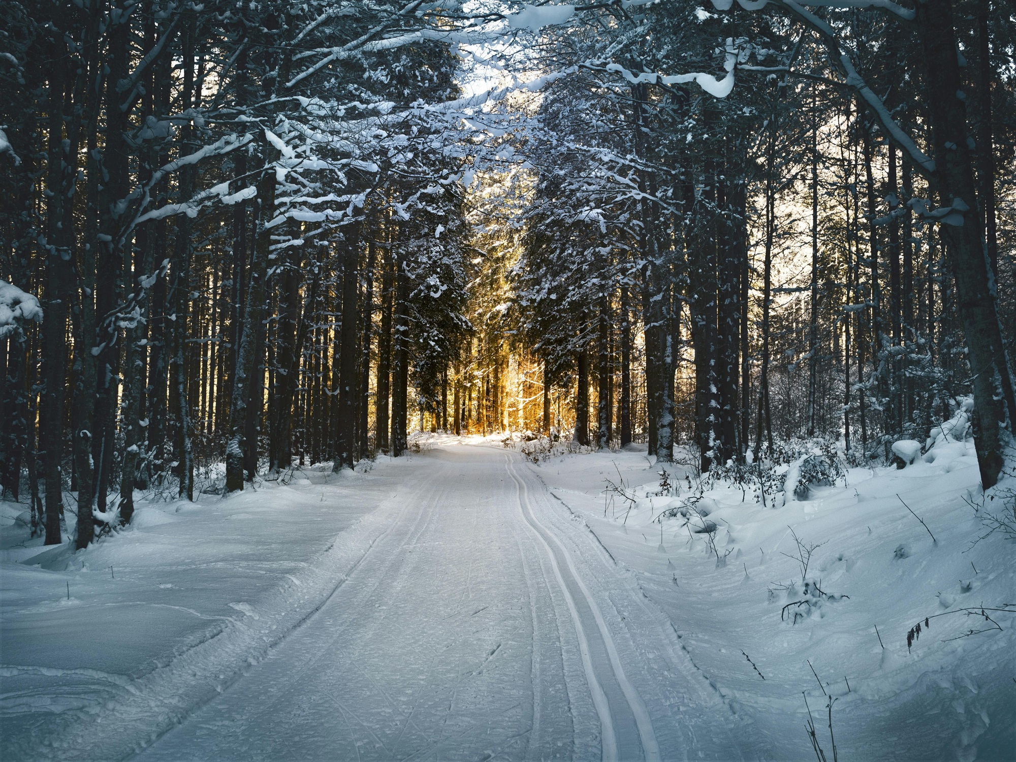 قازاقستاندا اياز كٷشەيەدٸ: تەمپەراتۋرا –15 °C-قا دەيٸن تٶمەندەيدٸ