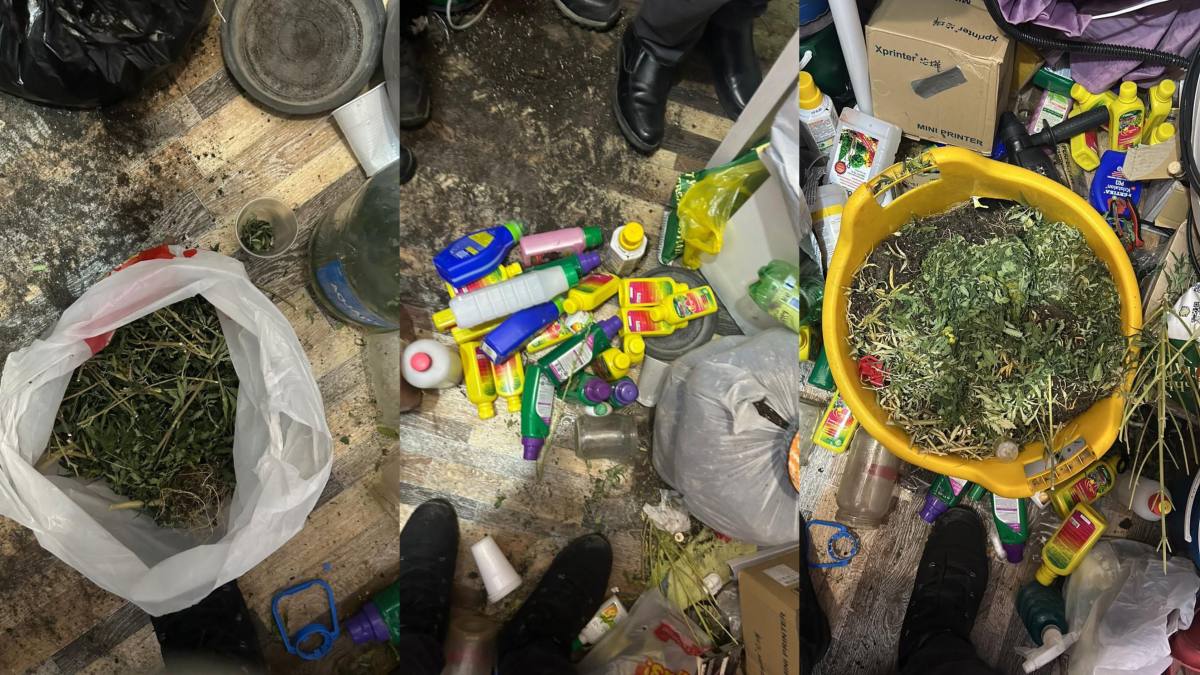 Пәтерін есірткі зертханасына айналдырған оралдық тұрғын ұсталды