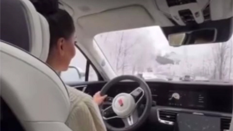 Белгілі актриса жол ережесін бұзғаны үшін жауапқа тартылды