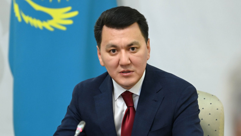 Ерлан Қарин: Жаңадан 5 конституциялық заң және 60 шақты кодекс пен заңды қабылдау қажет