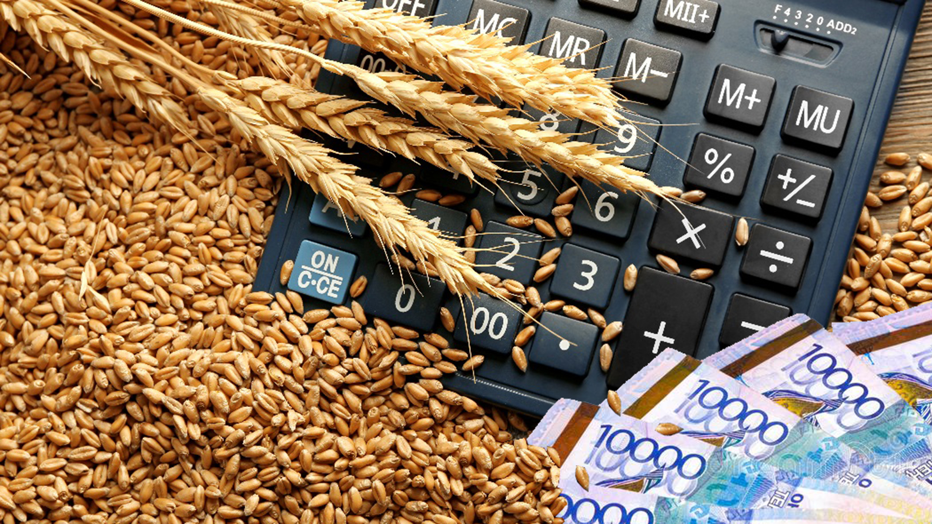 Kókshetaýda 152 mln teńge sýbsidiiany jymqyrǵan kásipkerler 6 jylǵa sottaldy