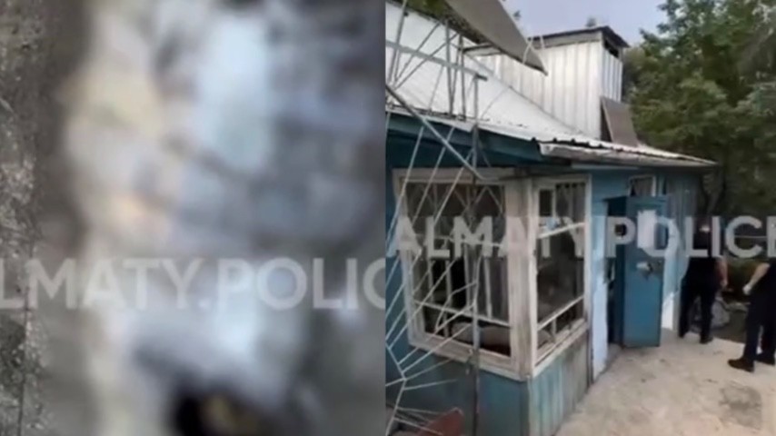پوليەتيلەنگە ورالعان مەيٸت تۋرالى ادام شوشىرلىق اقپارات تارادى (ۆيدەو)